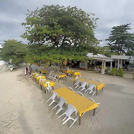 Mabuhay Thresher Dive Resort