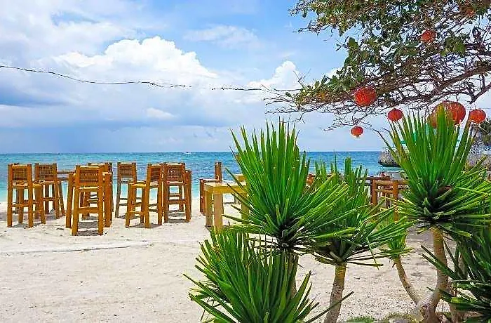 Mabuhay Thresher Dive 3* Daanbantayan