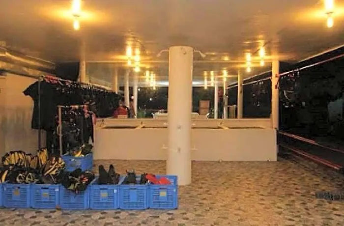 Mabuhay Thresher Dive